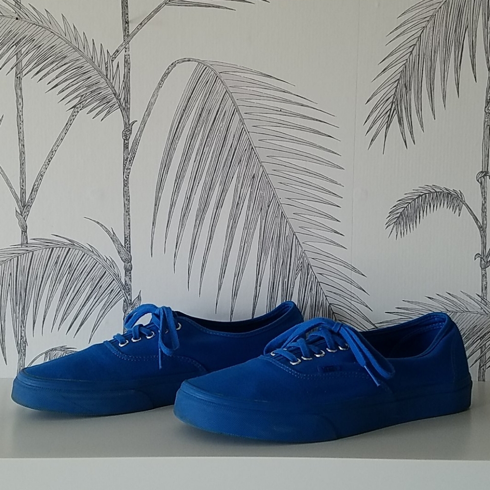 LAST CHANCE! Classic Lace Up Vans Classic